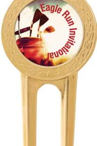 Divot Tool with Removable Insert